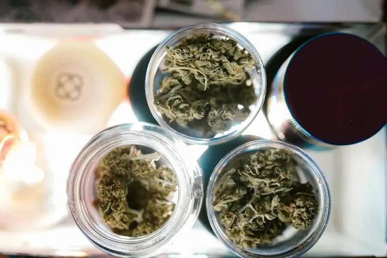 containers containing various types of cannabis | Justbob