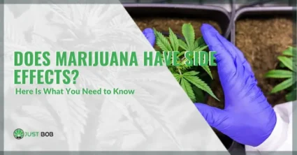 Does Marijuana Have Side Effects? Here Is What You Need to Know | Justbob