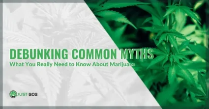 Debunking Common Myths: What You Really Need to Know About Marijuana | Justbob