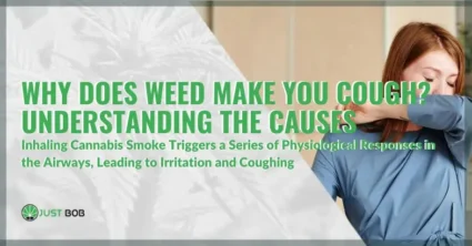 Why Does Weed Make You Cough? Understanding the Causes | Justbob